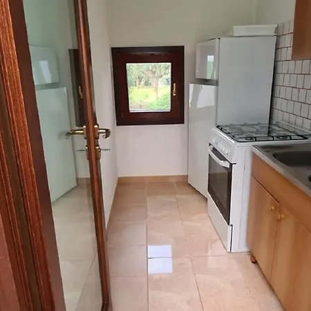 Salentiggiano Ulivi Vacanze Con Piscina 8/16 Pl Apartment *